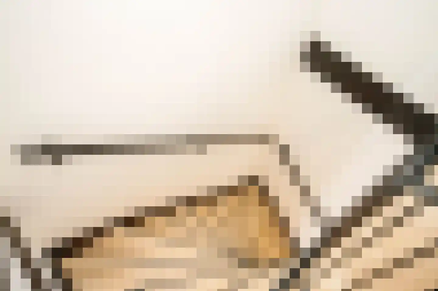 Bosweg 119 Gouda thumbnail 16