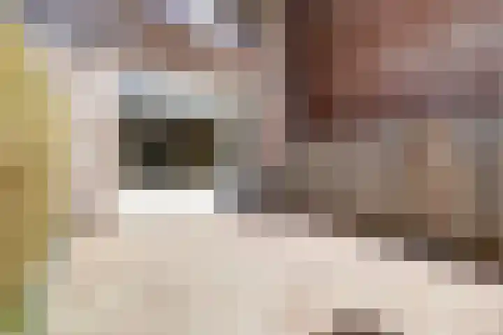 Bosweg 119 Gouda thumbnail 21