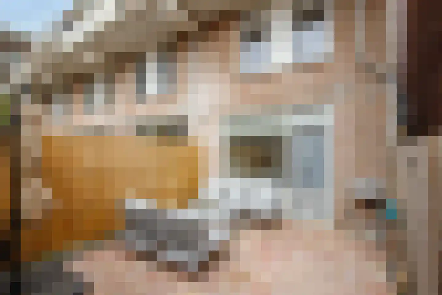Bosweg 119 Gouda thumbnail 23