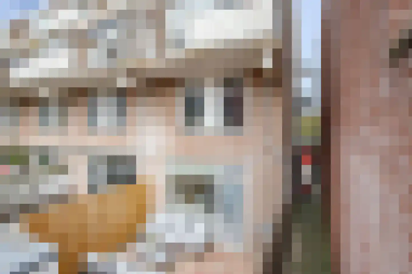 Bosweg 119 Gouda thumbnail 26