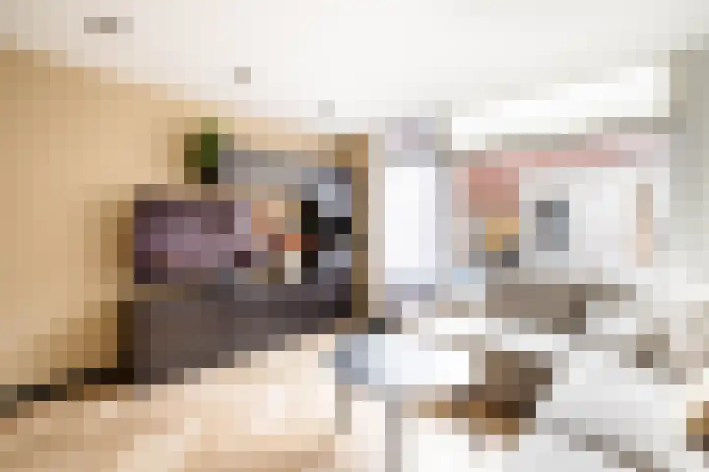 Bosweg 119 Gouda thumbnail 9