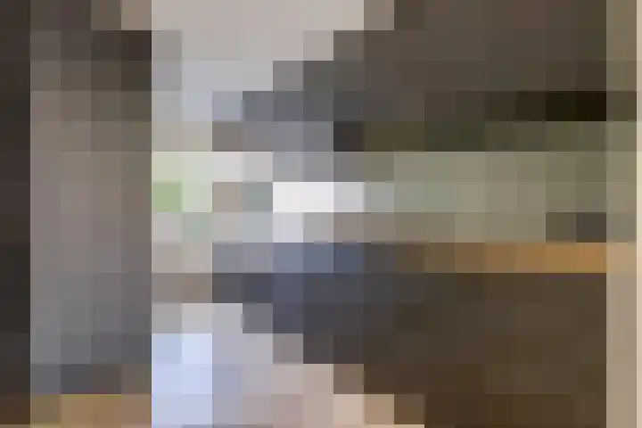 Bosweg 119 Gouda thumbnail 9