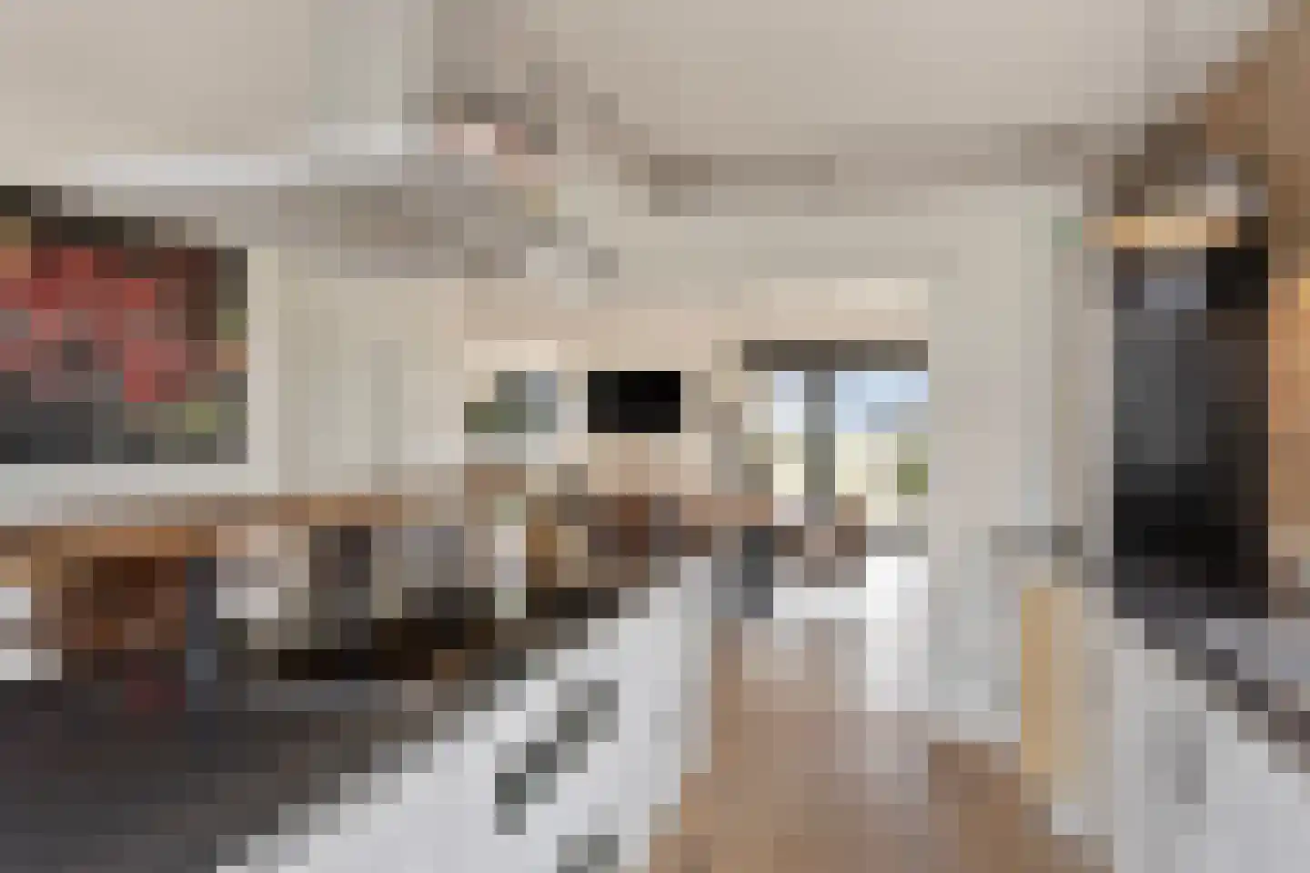 Bosweg 12 Welsum thumbnail 11