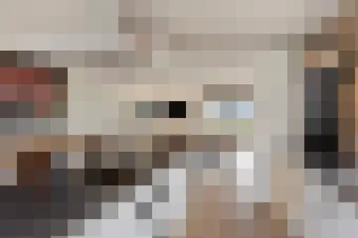 Bosweg 12 Welsum thumbnail 11