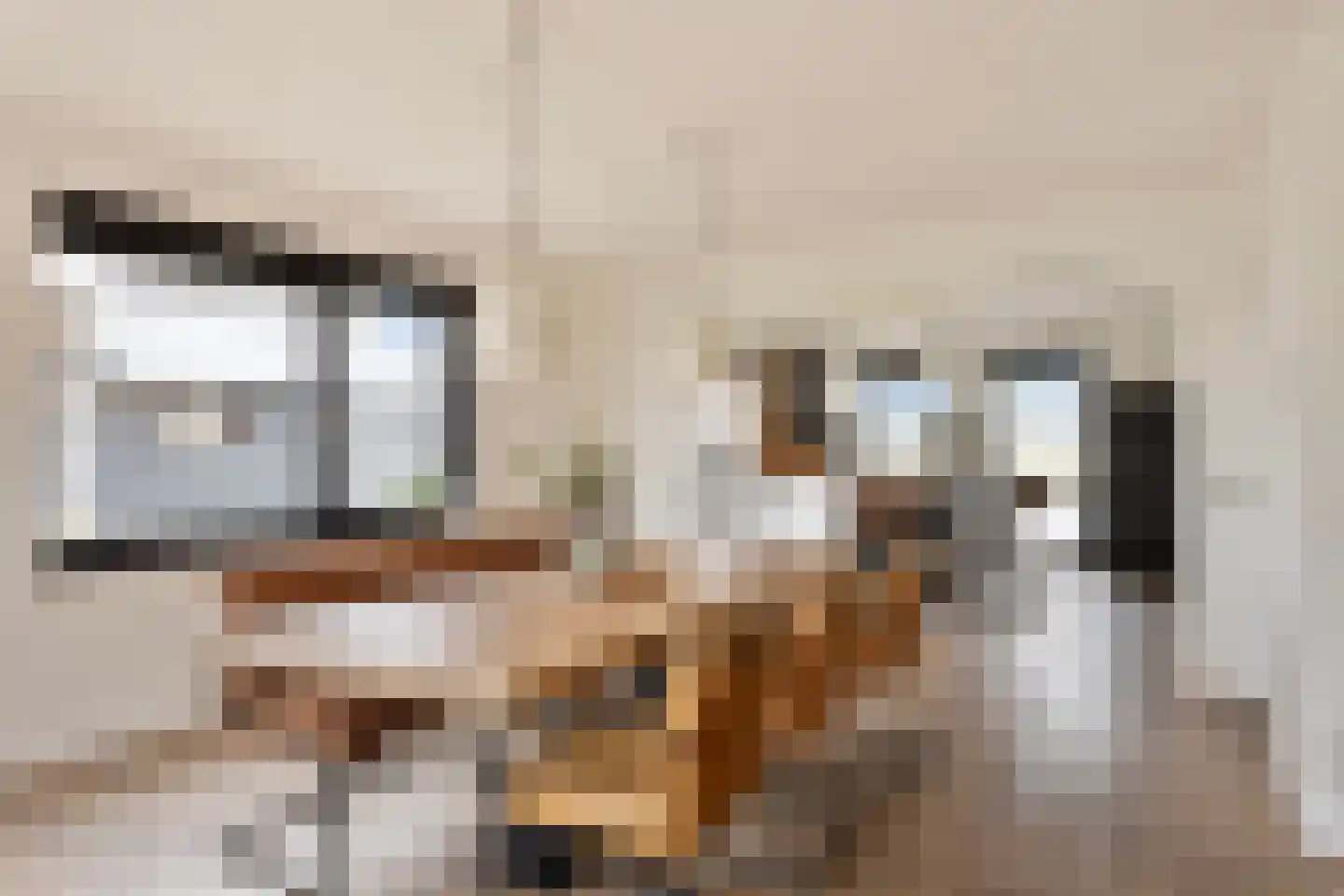 Bosweg 12 Welsum thumbnail 15