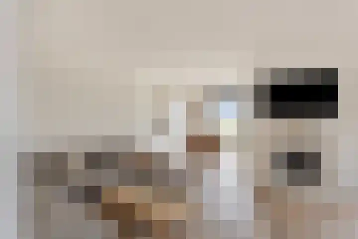 Bosweg 12 Welsum thumbnail 17