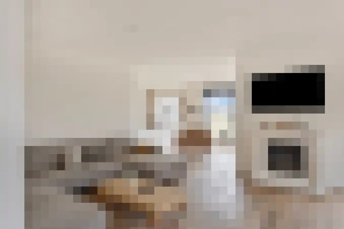 Bosweg 12 Welsum thumbnail 17