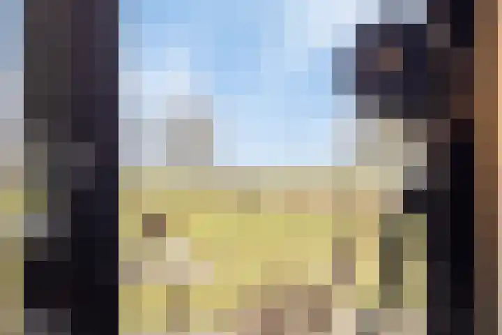 Bosweg 12 Welsum thumbnail 21