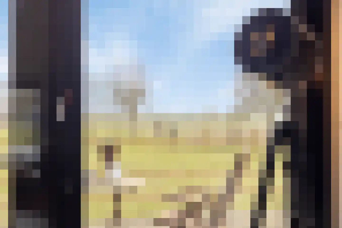 Bosweg 12 Welsum thumbnail 21