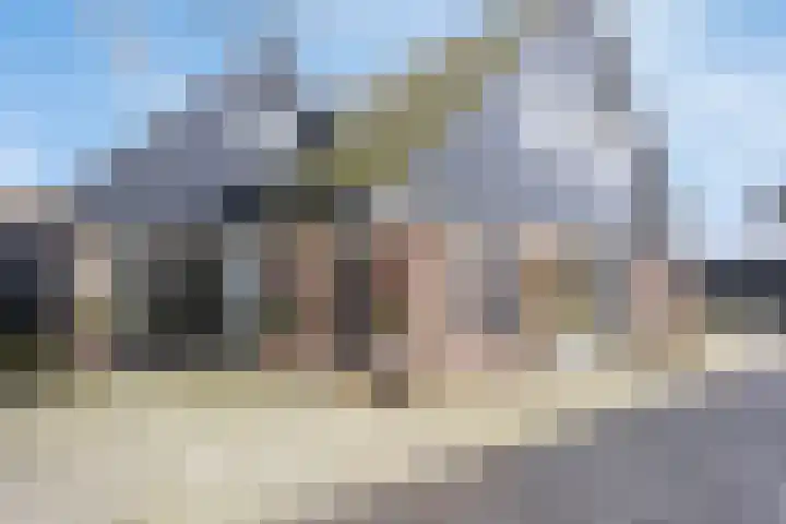 Bosweg 12 Welsum thumbnail 22