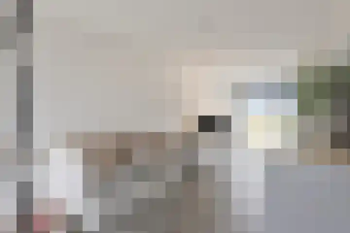 Bosweg 12 Welsum thumbnail 24