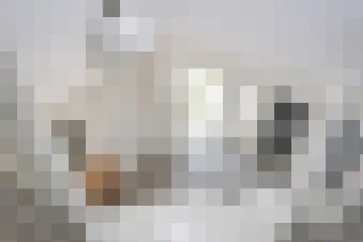 Bosweg 12 Welsum thumbnail 30