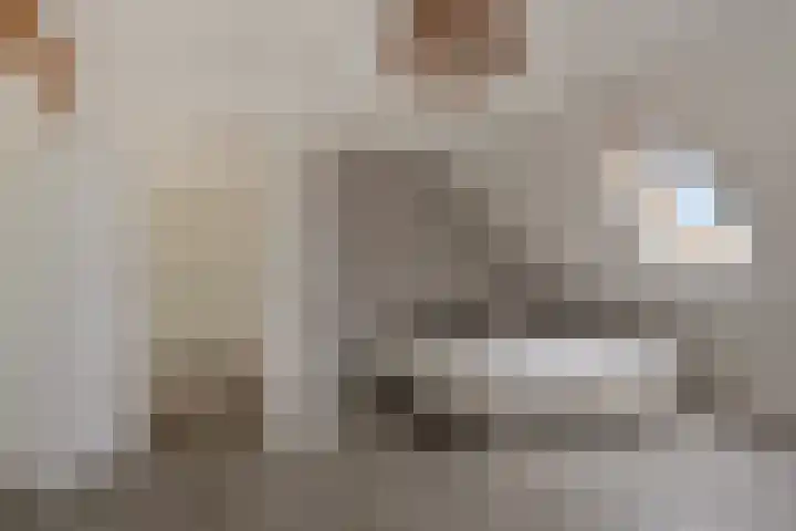 Bosweg 12 Welsum thumbnail 33