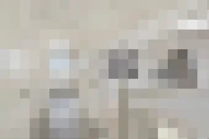 Bosweg 12 Welsum thumbnail 34