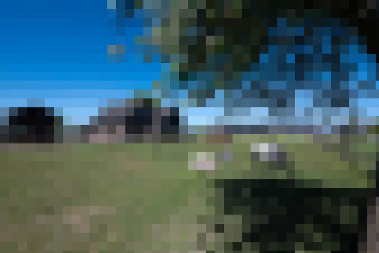 Bosweg 12 Welsum thumbnail 4