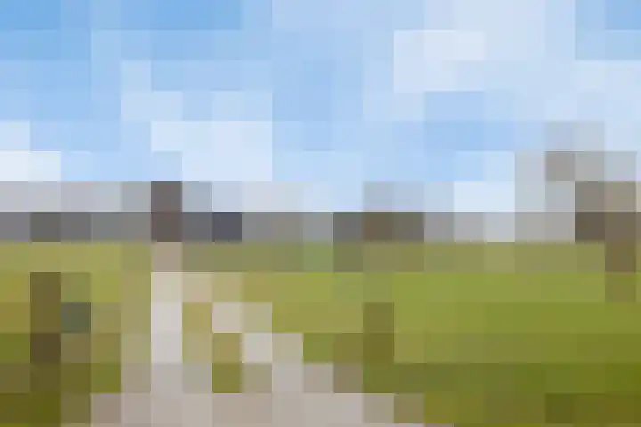 Bosweg 12 Welsum thumbnail 4