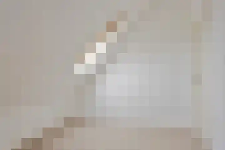 Bosweg 12 Welsum thumbnail 41