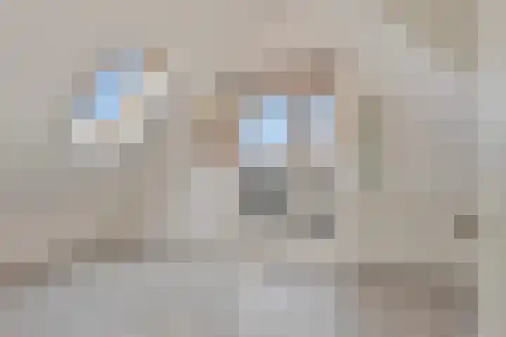 Bosweg 12 Welsum thumbnail 43