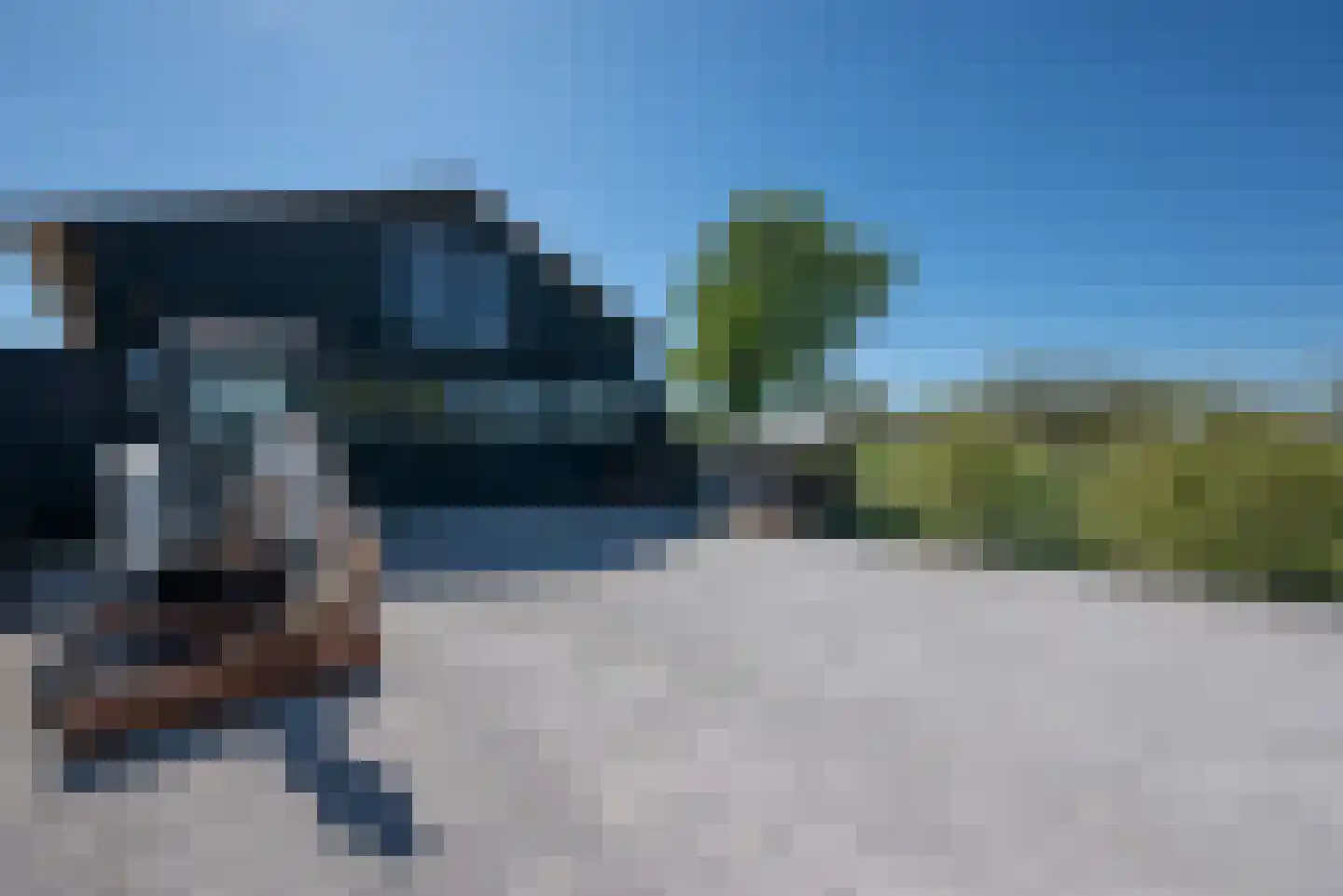 Bosweg 12 Welsum thumbnail 44