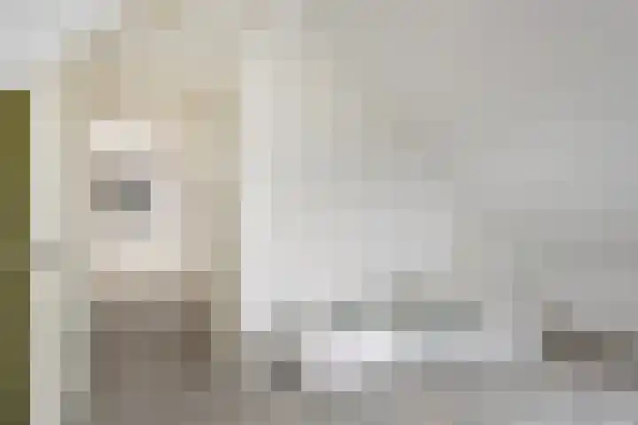 Bosweg 12 Welsum thumbnail 45
