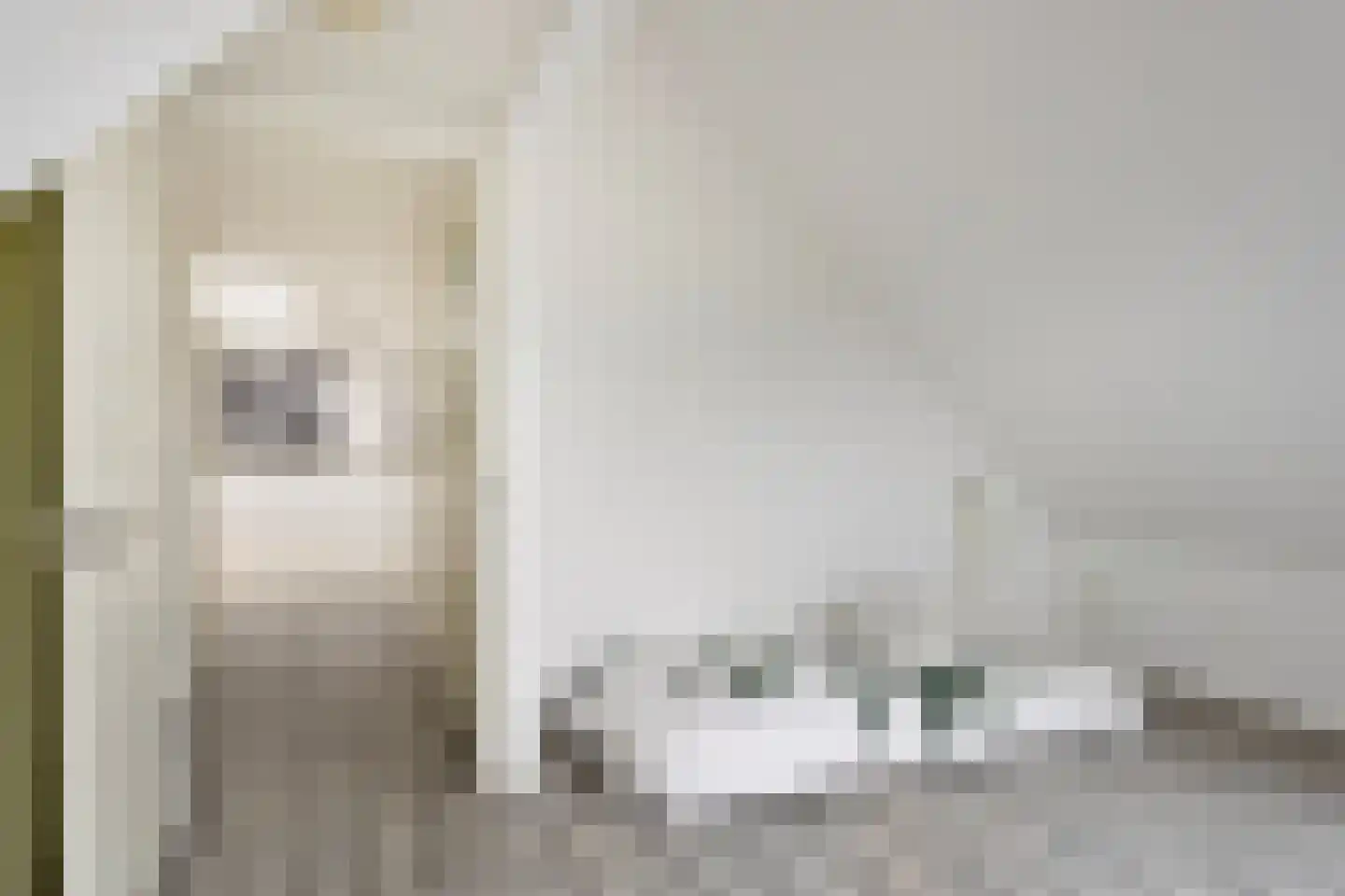 Bosweg 12 Welsum thumbnail 46