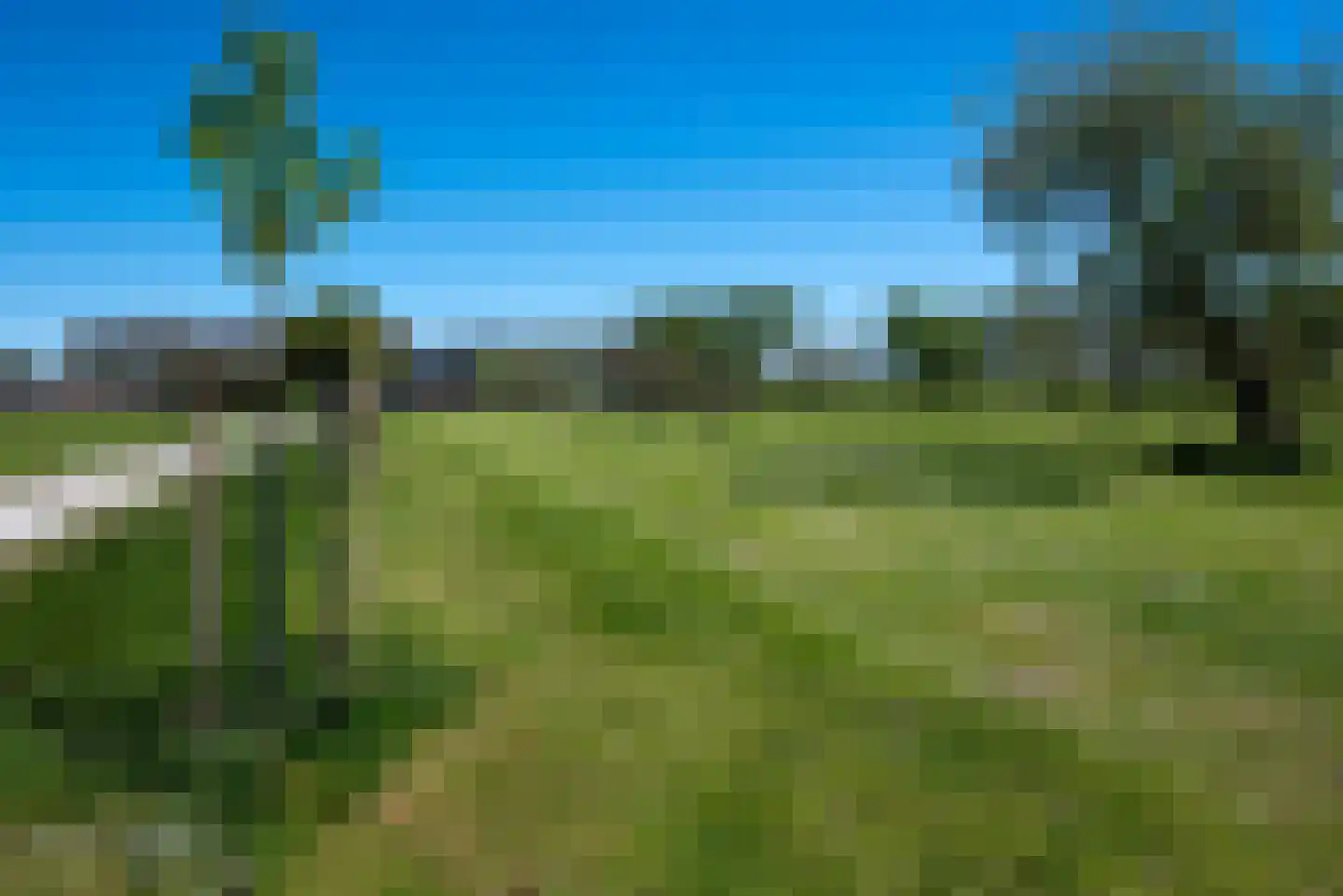 Bosweg 12 Welsum thumbnail 47