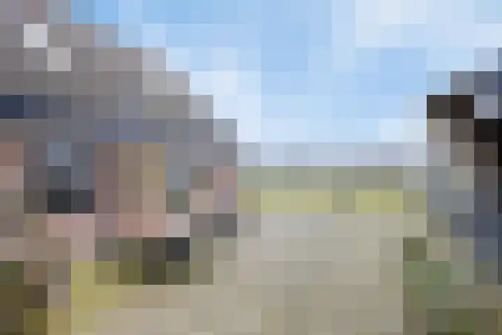 Bosweg 12 Welsum thumbnail 47