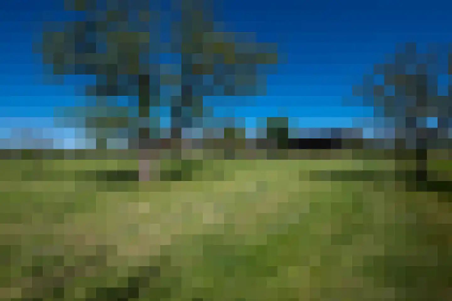 Bosweg 12 Welsum thumbnail 48
