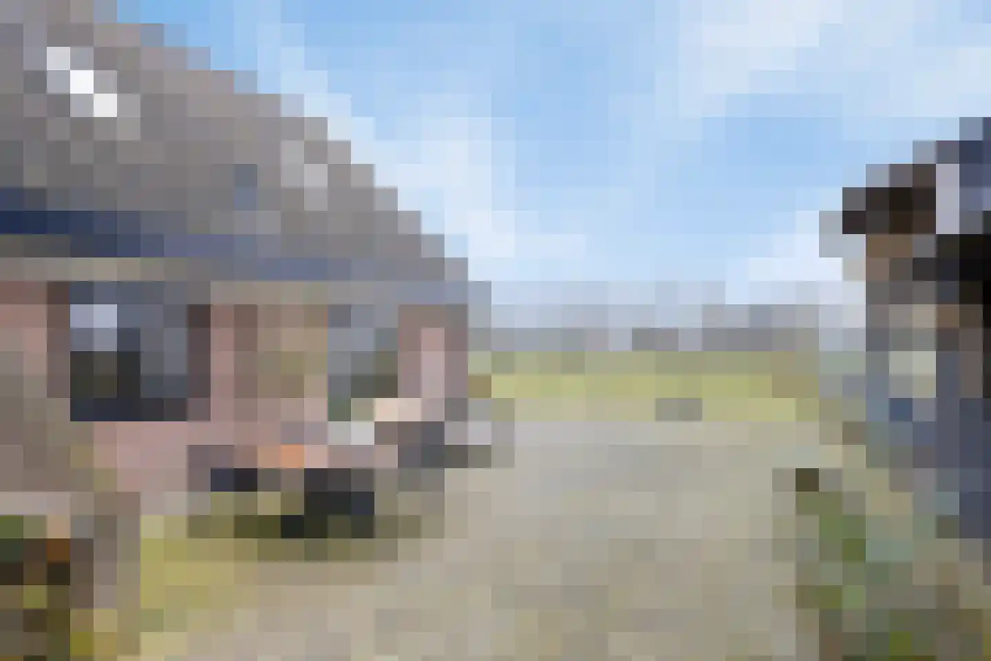 Bosweg 12 Welsum thumbnail 48