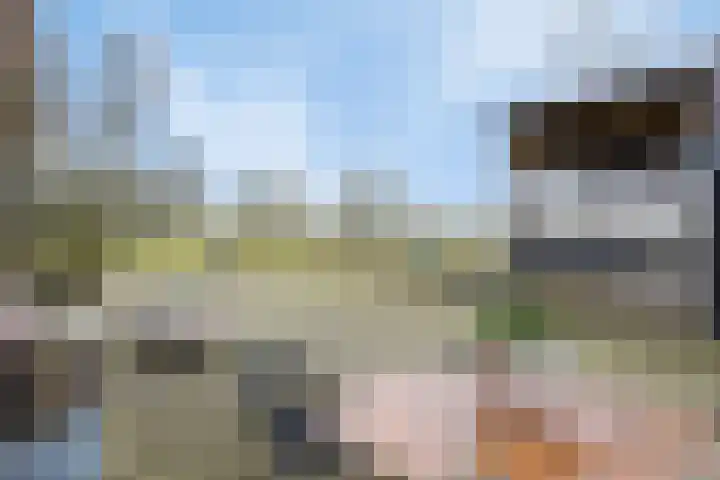 Bosweg 12 Welsum thumbnail 49