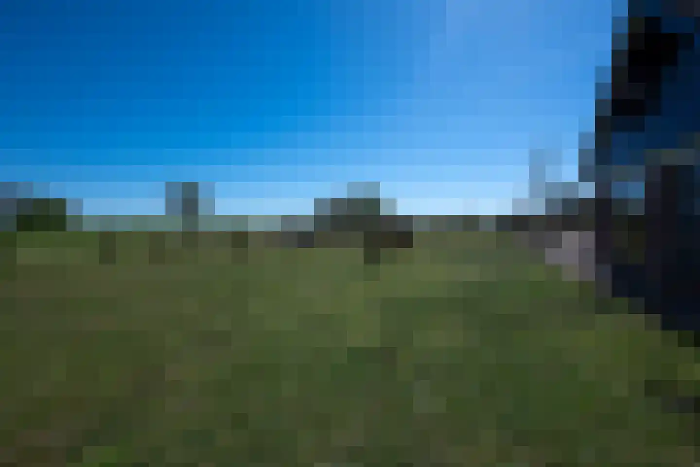 Bosweg 12 Welsum thumbnail 49