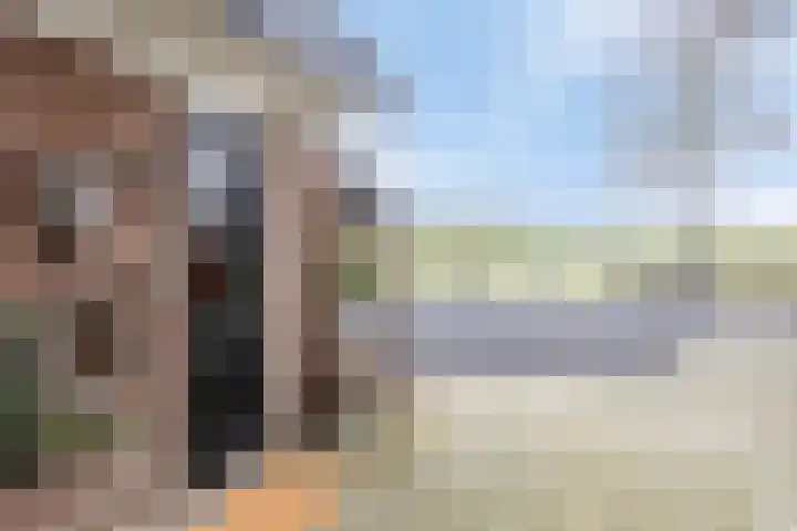 Bosweg 12 Welsum thumbnail 5