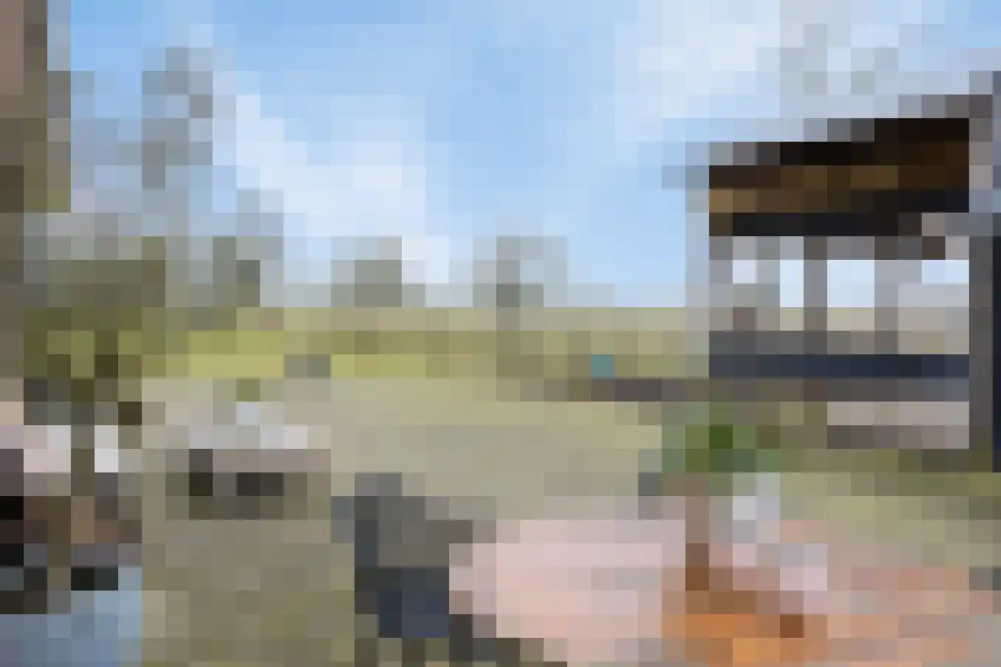 Bosweg 12 Welsum thumbnail 50
