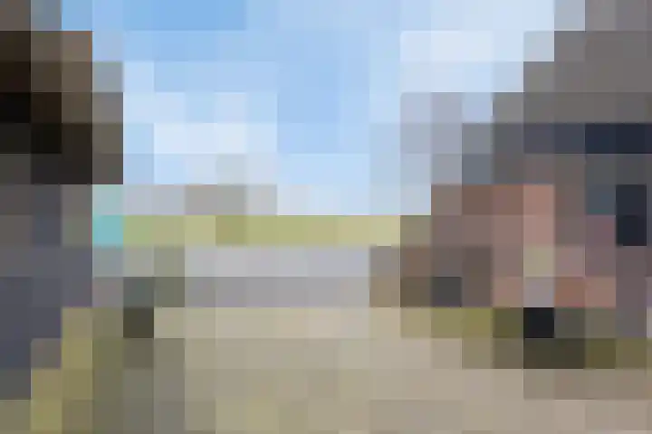 Bosweg 12 Welsum thumbnail 50