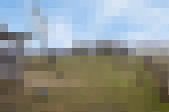 Bosweg 12 Welsum thumbnail 52
