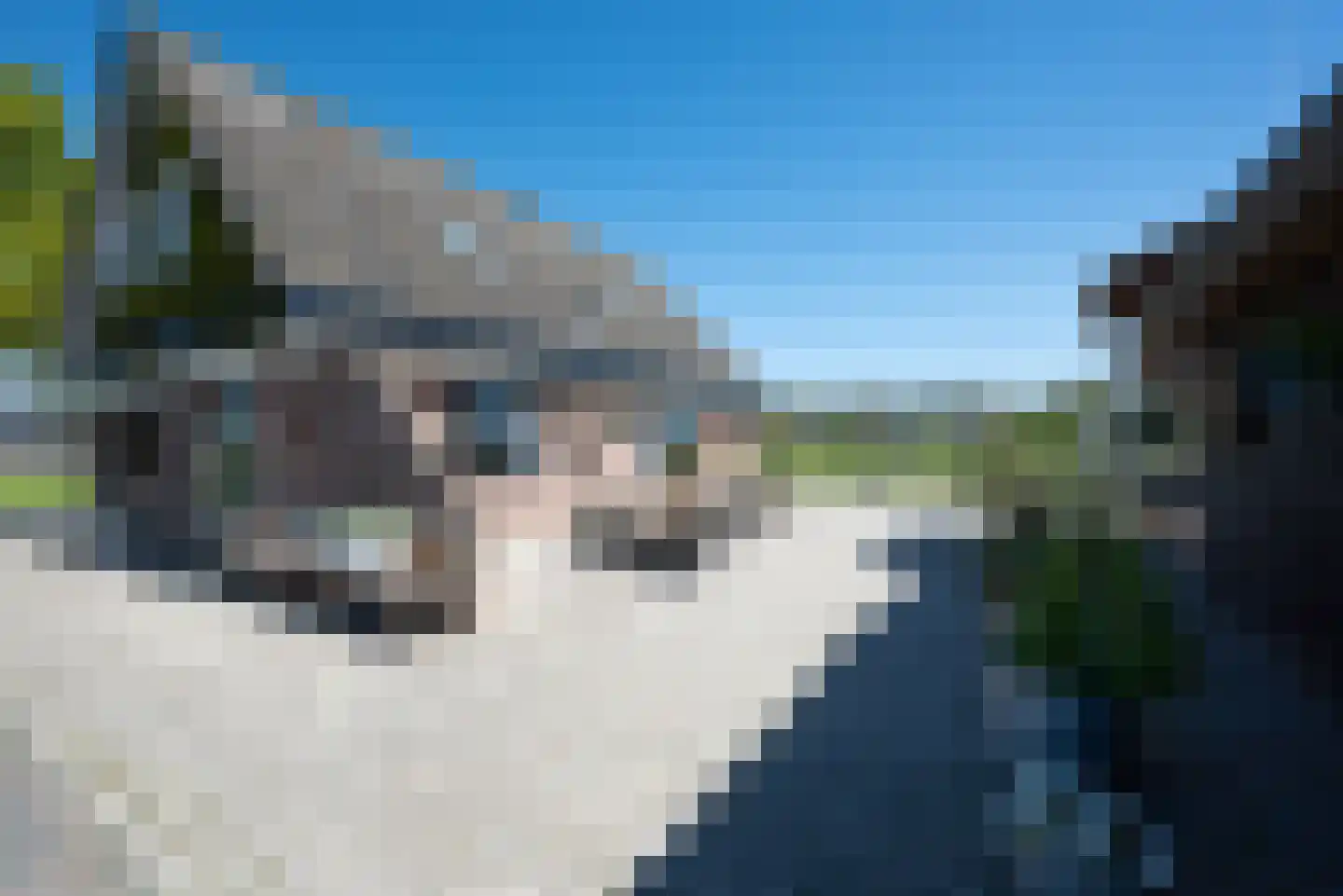 Bosweg 12 Welsum thumbnail 52