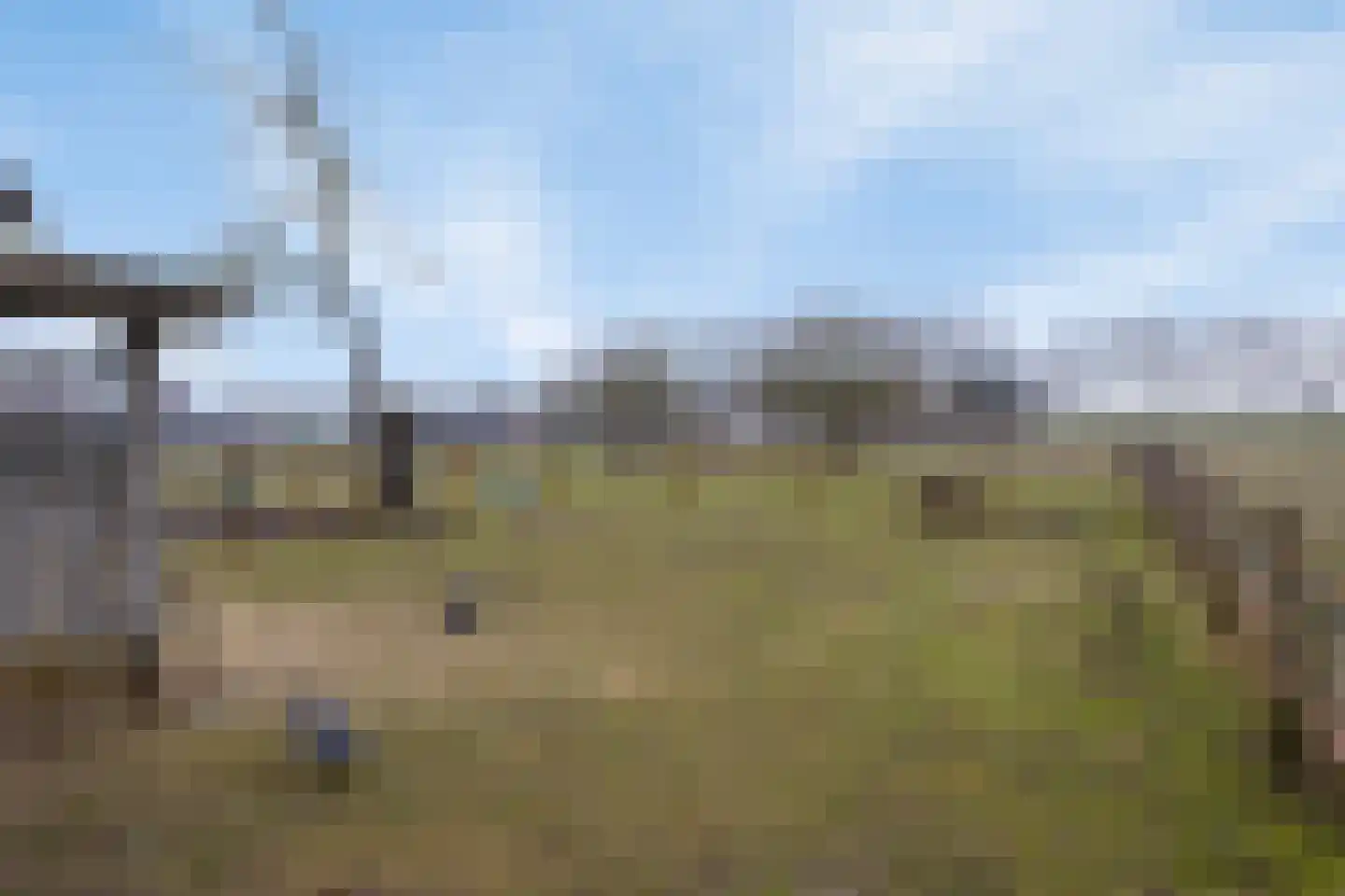 Bosweg 12 Welsum thumbnail 53