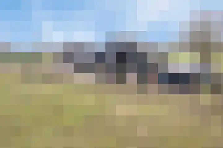 Bosweg 12 Welsum thumbnail 53