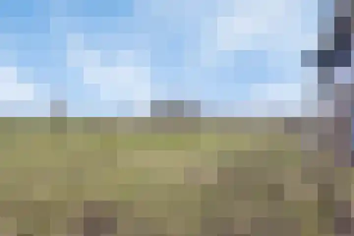Bosweg 12 Welsum thumbnail 54