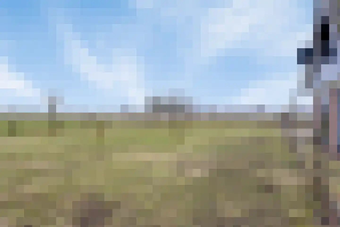 Bosweg 12 Welsum thumbnail 55