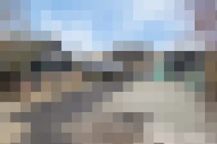 Bosweg 12 Welsum thumbnail 55