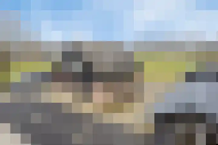 Bosweg 12 Welsum thumbnail 58