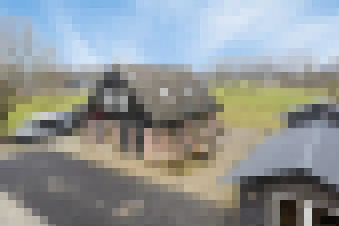 Bosweg 12 Welsum thumbnail 59