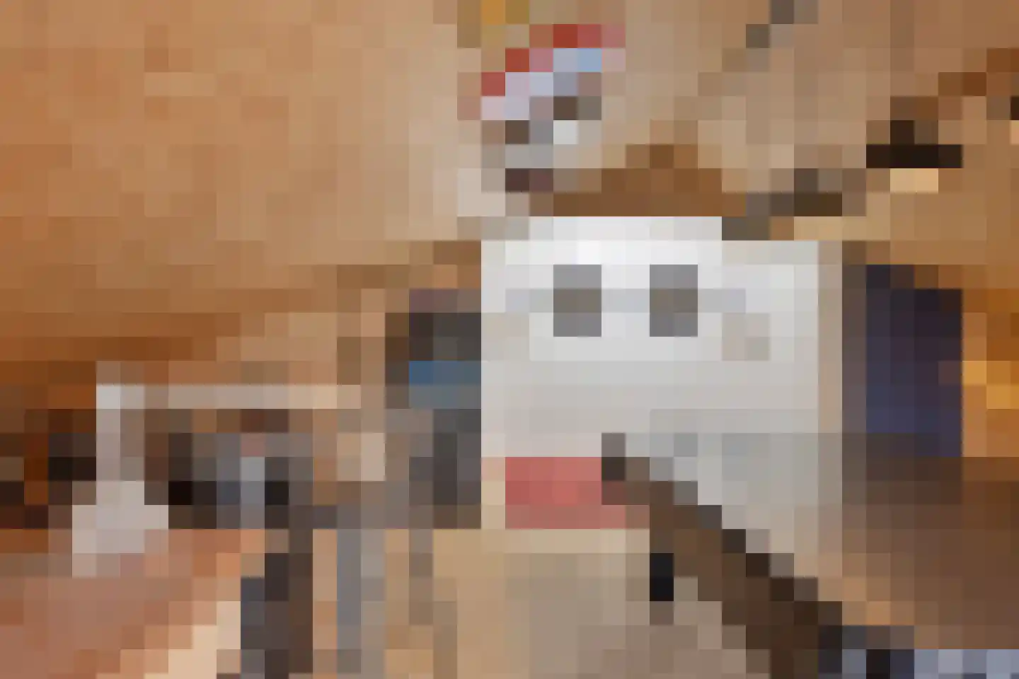 Bosweg 12 Welsum thumbnail 62