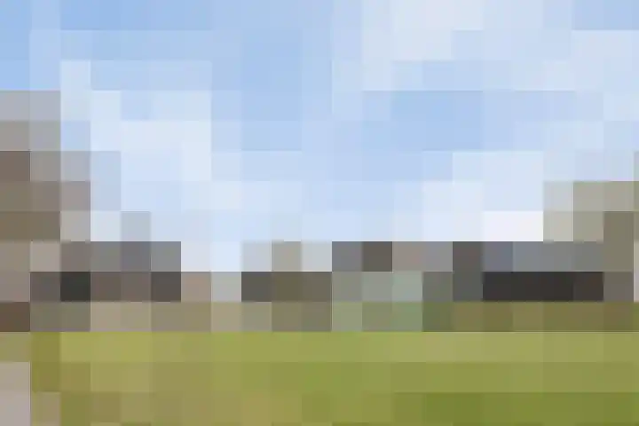 Bosweg 12 Welsum thumbnail 63