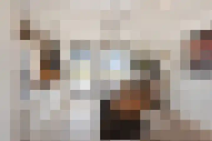 Bosweg 12 Welsum thumbnail 7