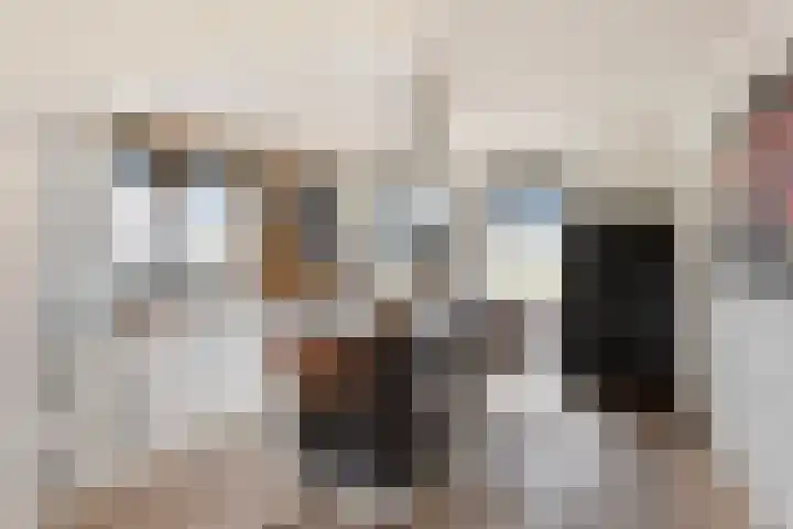Bosweg 12 Welsum thumbnail 8