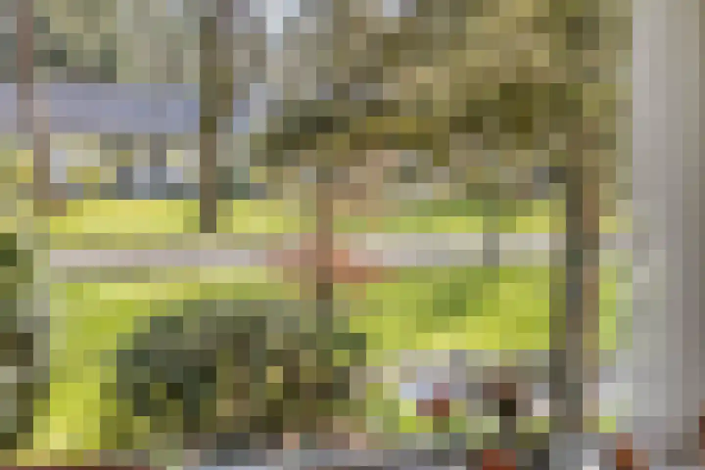 Bosweg 122 Apeldoorn thumbnail 10