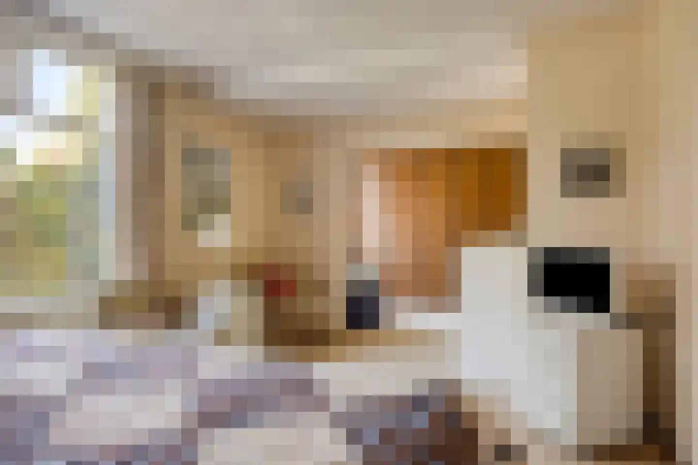 Bosweg 122 Apeldoorn thumbnail 22