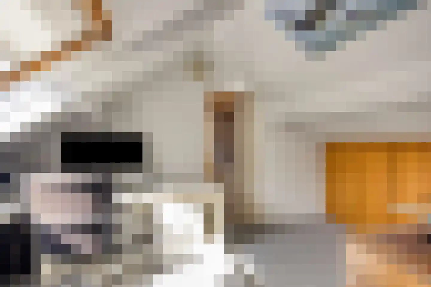 Bosweg 122 Apeldoorn thumbnail 34